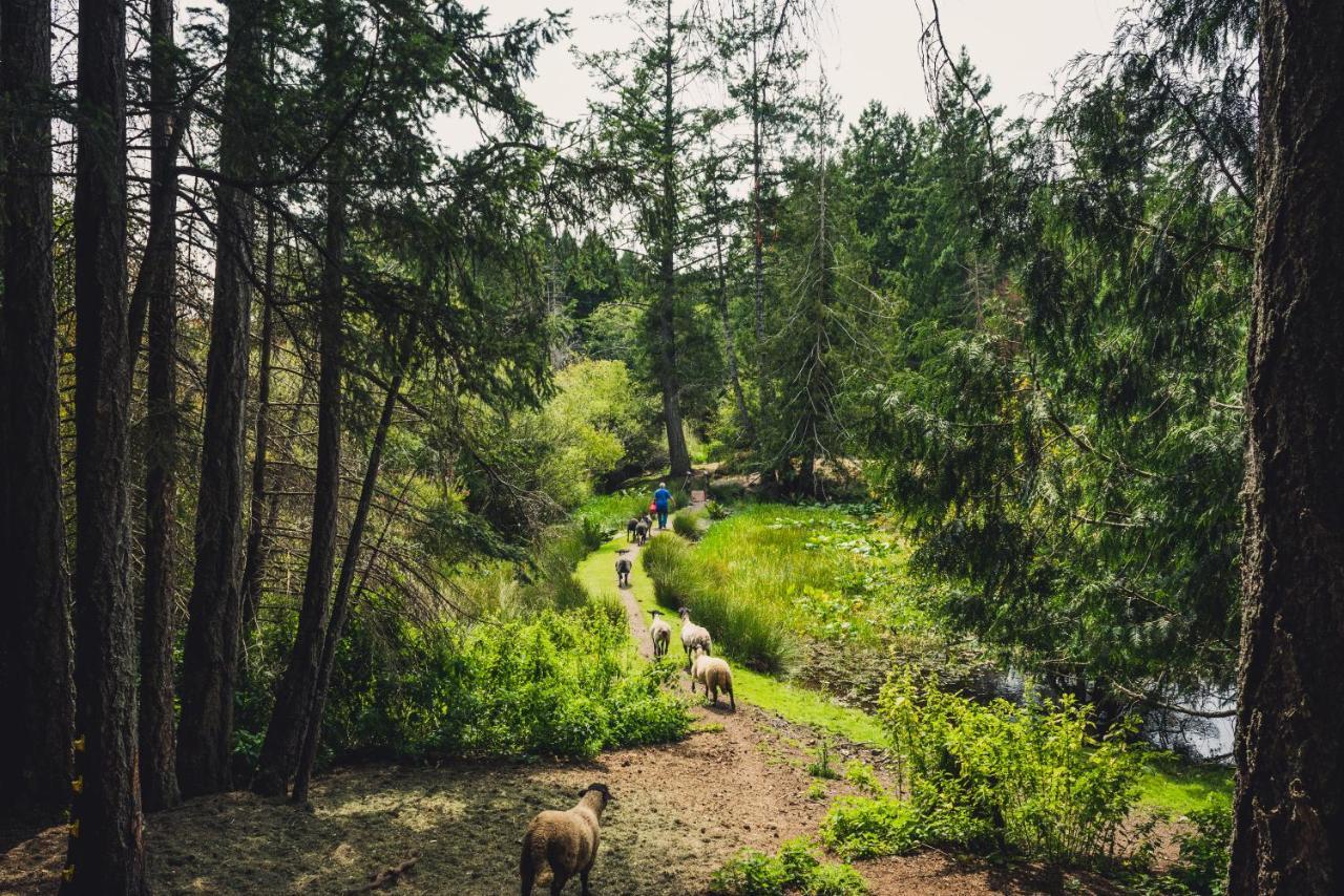 Misty Meadows B&B Лангфорд Экстерьер фото
